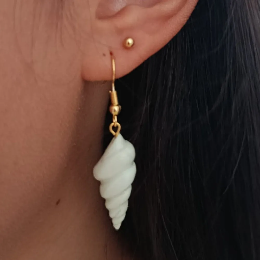 Coquillages Blancs