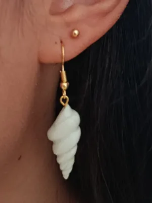 Coquillages Blancs
